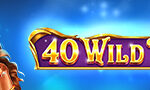 WildFortune