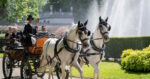 L’Ippodromo Snai San Siro celebra la Settimana della Cultura d’Impresa con il percorso speciale #ScopriSanSiro L’Ippodromo Snai San Siro celebra la Settimana della Cultura d’Impresa con il percorso speciale #ScopriSanSiro