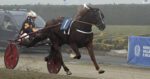 Ippodromo di Agnano, trotto: domenica meeting nazionale degli allevatori con il Gran Premio Anact e la premiazione “Cavallo dell’Anno” Ippodromo di Agnano, trotto: domenica meeting nazionale degli allevatori con il Gran Premio Anact e la premiazione “Cavallo dell’Anno”