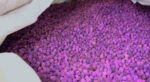 ADM e GdF Genova: sequestrati al porto oltre 700 kg di pergamenato di potassio, precursore di cocaina ed eroina ADM e GdF Genova: sequestrati al porto oltre 700 kg di pergamenato di potassio, precursore di cocaina ed eroina