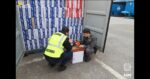 Porto di Genova: ADM e GdF sequestrano oltre 85mila confezioni di noodles istantanei contenenti proteine animali vietate dalla normativa europea Porto di Genova: ADM e GdF sequestrano oltre 85mila confezioni di noodles istantanei contenenti proteine animali vietate dalla normativa europea