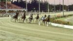 Ippica, il modello italiano a Vincennes: impianti moderni e socialità al centro della sfida 2026 Ippica, il modello italiano a Vincennes: impianti moderni e socialità al centro della sfida 2026