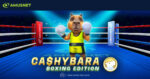 Cashybara Boxing Edition: Amusnet porta il crash game sul ring con un’esperienza ad alto impatto Cashybara Boxing Edition: Amusnet porta il crash game sul ring con un’esperienza ad alto impatto