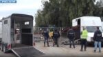 Corsa clandestina di cavalli con scommesse illecite a Camporotondo Etneo (CT), emessi 15 fogli di via obbligatori Corsa clandestina di cavalli con scommesse illecite a Camporotondo Etneo (CT), emessi 15 fogli di via obbligatori