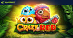 Crazy Red di Amusnet debutta online: avventura wild nella giungla tra colori, cascate e moltiplicatori esplosivi Crazy Red di Amusnet debutta online: avventura wild nella giungla tra colori, cascate e moltiplicatori esplosivi