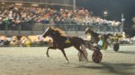 Ippodromo San Paolo: mercoledì spicca il Premio Calciatori, una “Tris” con 17 protagonisti in pista Ippodromo San Paolo: mercoledì spicca il Premio Calciatori, una “Tris” con 17 protagonisti in pista
