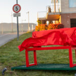 BetFlag-Piantala!-2503202651
