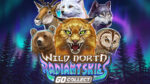 Play’n GO, Wild North Radiant Skies GO Collect porta l’aurora boreale nelle slot online Play’n GO, Wild North Radiant Skies GO Collect porta l’aurora boreale nelle slot online