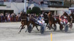 Ippodromo Arcoveggio, giovedì fari puntati sul “Premio Filanda” Ippodromo Arcoveggio, giovedì fari puntati sul “Premio Filanda”