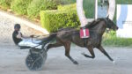 Ippodromo Snai Sesana, domenica di trotto riservata a gentlemen e amazzoni: sigillo di Giotto dell’Est nella prova dedicata all’associazione “365 giorni al femminile” Ippodromo Snai Sesana, domenica di trotto riservata a gentlemen e amazzoni: sigillo di Giotto dell’Est nella prova dedicata all’associazione “365 giorni al femminile”