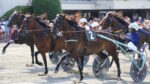 Ippodromo Arcoveggio, domenica riflettori accesi sul “Premio Canzonissima” Ippodromo Arcoveggio, domenica riflettori accesi sul “Premio Canzonissima”