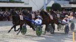 Ippodromo Arcoveggio, domenica riflettori accesi sul “Premio Cirmolo” Ippodromo Arcoveggio, domenica riflettori accesi sul “Premio Cirmolo”
