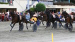 Ippodromo Arcoveggio, il 2 giugno occhi puntati sul “Gran Premio della Repubblica” Ippodromo Arcoveggio, il 2 giugno occhi puntati sul “Gran Premio della Repubblica”