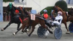 Ippodromo Arcoveggio, lunedì fari puntati sulla TQQ “Premio Silvio” Ippodromo Arcoveggio, lunedì fari puntati sulla TQQ “Premio Silvio”