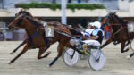 Ippodromo Arcoveggio, ecco il programma di giovedì Ippodromo Arcoveggio, ecco il programma di giovedì