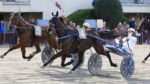 Ippodromo Arcoveggio, giovedì riflettori accesi sul “Premio Nadi” Ippodromo Arcoveggio, giovedì riflettori accesi sul “Premio Nadi”