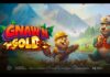 Play’n GO lancia Gnaw’n Gold: una sfida a colpi di rulli tra castori e orsi nel bosco