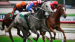 Royal Ascot, il mercato nero delle scommesse pronto a raccogliere 40 milioni di sterline Royal Ascot, il mercato nero delle scommesse pronto a raccogliere 40 milioni di sterline