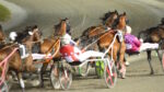 Ippodromo San Paolo, mercoledì riflettori accesi sulla TQQ “Premio Ascoli Calcio” Ippodromo San Paolo, mercoledì riflettori accesi sulla TQQ “Premio Ascoli Calcio”