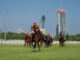 Ippodromo Snai San Siro, galoppo: l’impianto milanese si tinge di rosa per la 117ª edizione delle Oaks d’Italia – Tattersalls