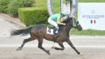Ippodromo Snai Sesana, lunedì l’ultima riunione di giugno Ippodromo Snai Sesana, lunedì l’ultima riunione di giugno
