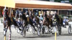 Ippodromo del Savio, venerdì occhi puntati sulla TQQ “Premio Bronchi Combustibili” Ippodromo del Savio, venerdì occhi puntati sulla TQQ “Premio Bronchi Combustibili”
