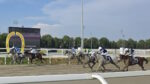 Ippodromo Snai San Siro, galoppo: RB Burn The Bill la prima femmina a vincere la UAE President Cup in Italia Ippodromo Snai San Siro, galoppo: RB Burn The Bill la prima femmina a vincere la UAE President Cup in Italia