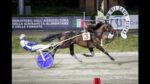 Ippodromo del Savio, sabato fari puntati sul “Premio Club Ippodromo” Ippodromo del Savio, sabato fari puntati sul “Premio Club Ippodromo”