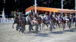 Ippodromo del Savio, martedì riflettori accesi sul “Premio Ippodromo del Savio” Ippodromo del Savio, martedì riflettori accesi sul “Premio Ippodromo del Savio”