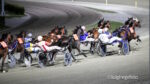 Ippodromo del Savio, martedì occhi puntati sulla TQQ “Premio Commerciale Adriatica MMT” Ippodromo del Savio, martedì occhi puntati sulla TQQ “Premio Commerciale Adriatica MMT”