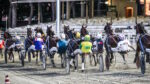 Ippodromo del Savio, venerdì fari puntati sulla TQQ “Premio Circolo Aurora Forlì” Ippodromo del Savio, venerdì fari puntati sulla TQQ “Premio Circolo Aurora Forlì”