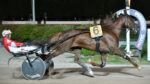 Ippodromo Snai Sesana, Indianfire Wf protagonista nel “triplete” di Roberto Vecchione Ippodromo Snai Sesana - Trotto