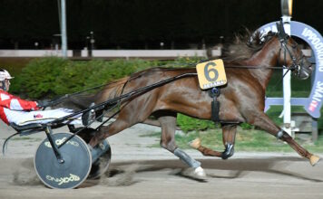 FOTO ROSELLINI MONTECATINI TERME Ippodromo Snai Sesana - Trotto
