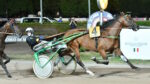 Ippodromo Snai Sesana, super domenica sera con il “Gran Premio Società Terme” in ricordo di Vivaldo Baldi e l’animazione per bambini e famiglie Ippodromo Snai Sesana, super domenica sera con il “Gran Premio Società Terme” in ricordo di Vivaldo Baldi e l’animazione per bambini e famiglie