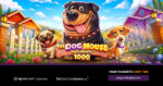 Pragmatic Play lancia The Dog House Megaways™ 1000 con moltiplicatori fino a 1.000x Pragmatic Play lancia The Dog House Megaways™ 1000 con moltiplicatori fino a 1.000x