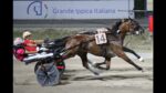 Ippodromo del Savio, Ehlert Par vince la TQQ “Premio Commerciale Adriatica MMT” Ippodromo del Savio, Ehlert Par vince la TQQ “Premio Commerciale Adriatica MMT”