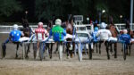 Ippodromo del Savio, sabato fari puntati sul “Premio Rocca Malatestiana” Ippodromo del Savio, sabato fari puntati sul “Premio Rocca Malatestiana”
