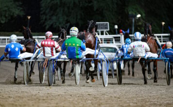 ippodromo_cesena_repertorio Rega2