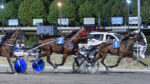 Ippodromo del Savio, venerdì occhi puntati sul “Premio Fiume Savio” Ippodromo del Savio, venerdì occhi puntati sul “Premio Fiume Savio”