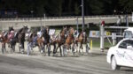 Ippodromo del Savio, venerdì riflettori accesi sul “Premio Loreto” Ippodromo del Savio - Trotto
